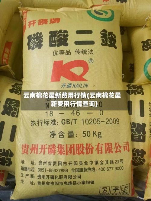 云南棉花最新费用行情(云南棉花最新费用行情查询)