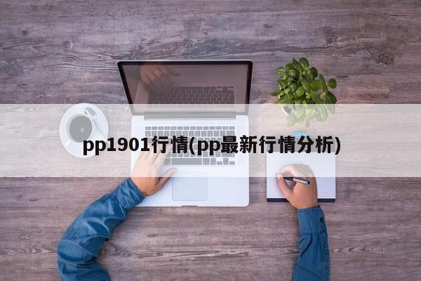pp1901行情(pp最新行情分析)