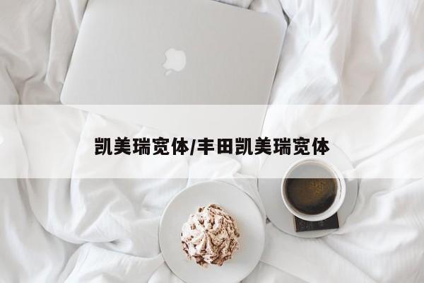 凯美瑞宽体/丰田凯美瑞宽体