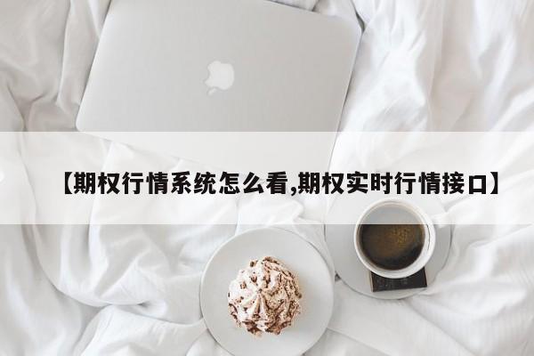 【期权行情系统怎么看,期权实时行情接口】