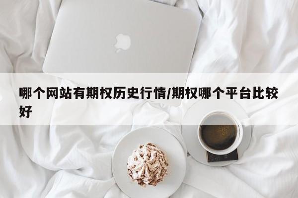 哪个网站有期权历史行情/期权哪个平台比较好