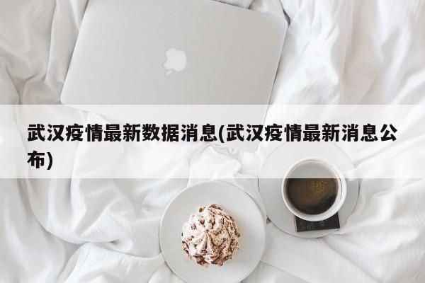 武汉疫情最新数据消息(武汉疫情最新消息公布)