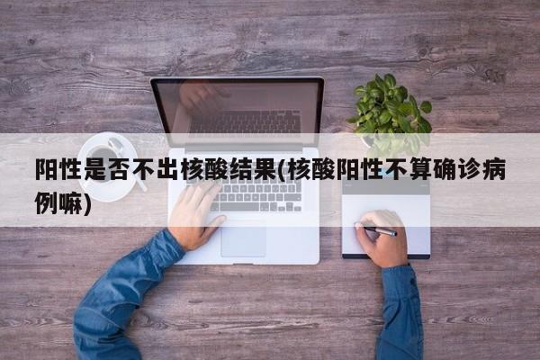 阳性是否不出核酸结果(核酸阳性不算确诊病例嘛)