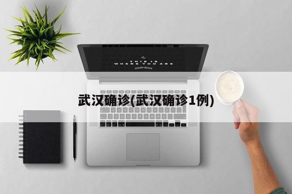 武汉确诊(武汉确诊1例)