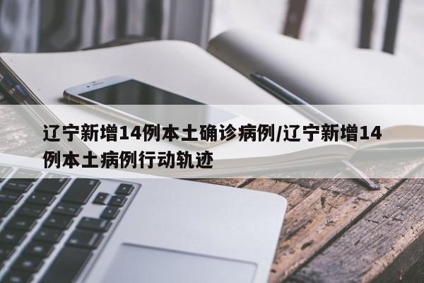 辽宁新增14例本土确诊病例/辽宁新增14例本土病例行动轨迹