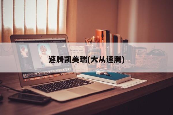 速腾凯美瑞(大从速腾)