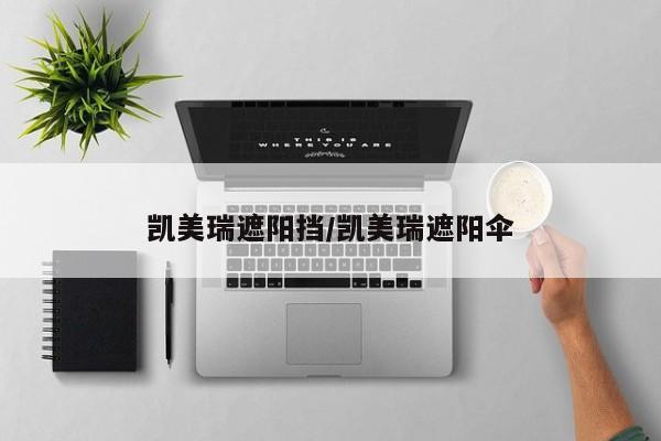 凯美瑞遮阳挡/凯美瑞遮阳伞