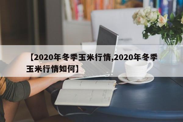 【2020年冬季玉米行情,2020年冬季玉米行情如何】