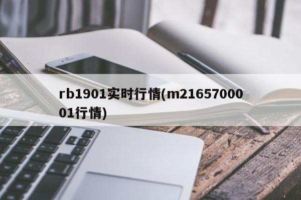 rb1901实时行情(m2165700001行情)